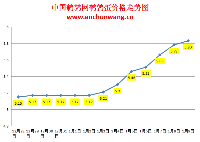 2024.1.9中国鹌鹑网全国鹌鹑蛋价格报价