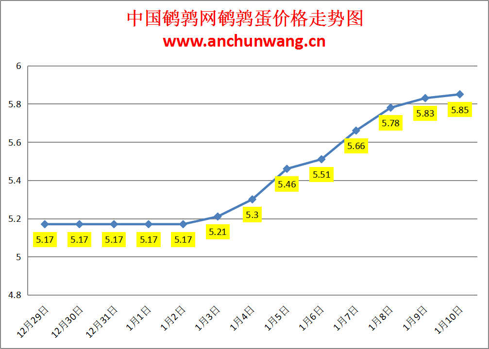 2024.1.10中国鹌鹑网全国鹌鹑蛋价格报价