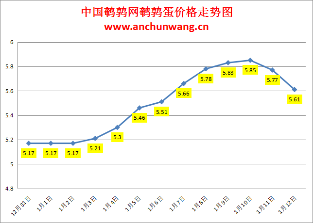 2024.1.12中国鹌鹑网全国鹌鹑蛋价格报价