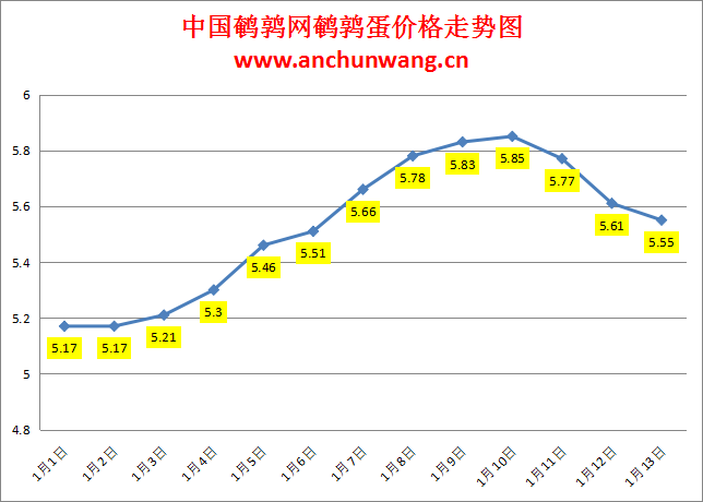 2024.1.13中国鹌鹑网全国鹌鹑蛋价格报价