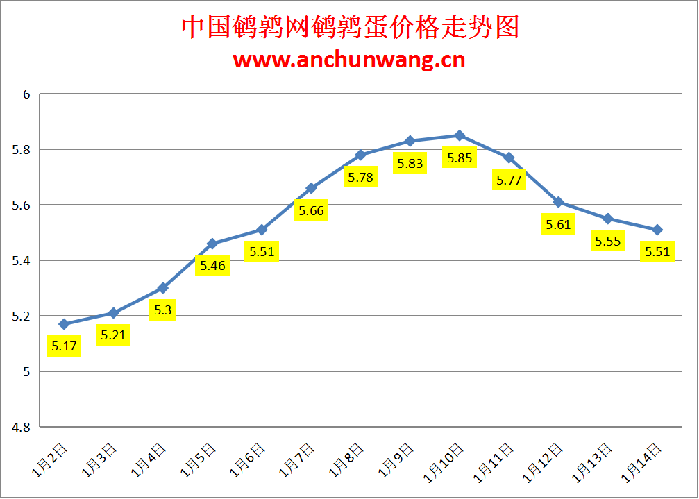 2024.1.14中国鹌鹑网全国鹌鹑蛋价格报价