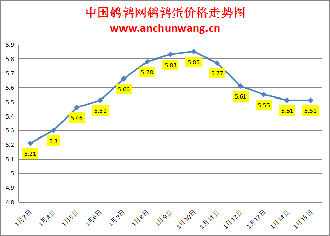 2024.1.15中国鹌鹑网全国鹌鹑蛋价格报价