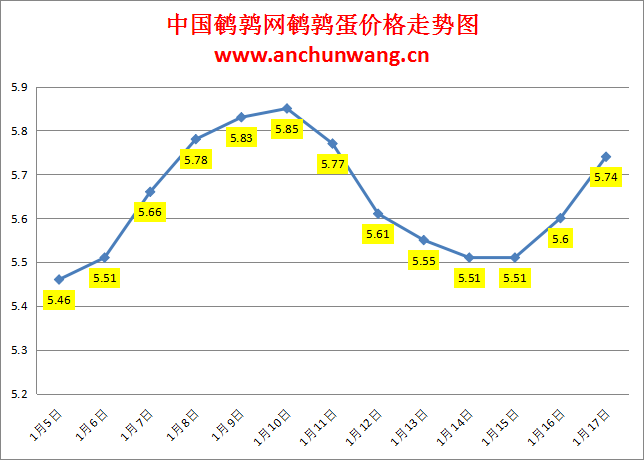 2024.1.17中国鹌鹑网全国鹌鹑蛋价格报价