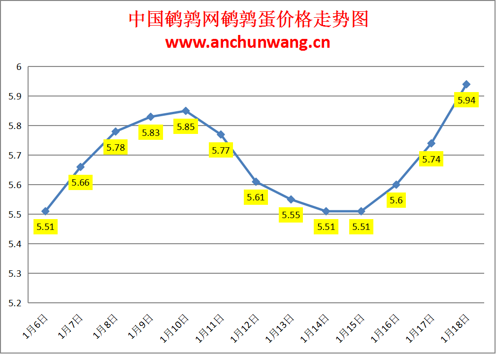 2024.1.18中国鹌鹑网全国鹌鹑蛋价格报价