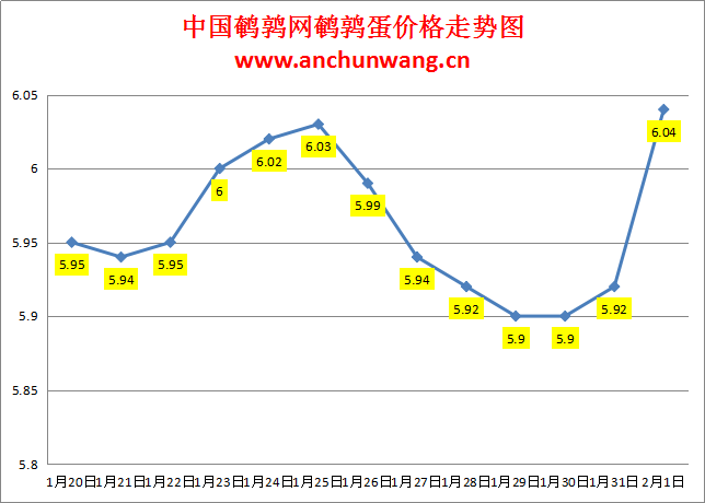 2024.2.1中国鹌鹑网全国鹌鹑蛋价格报价