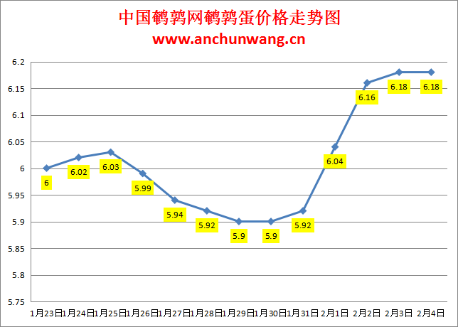 2024.2.4中国鹌鹑网全国鹌鹑蛋价格报价