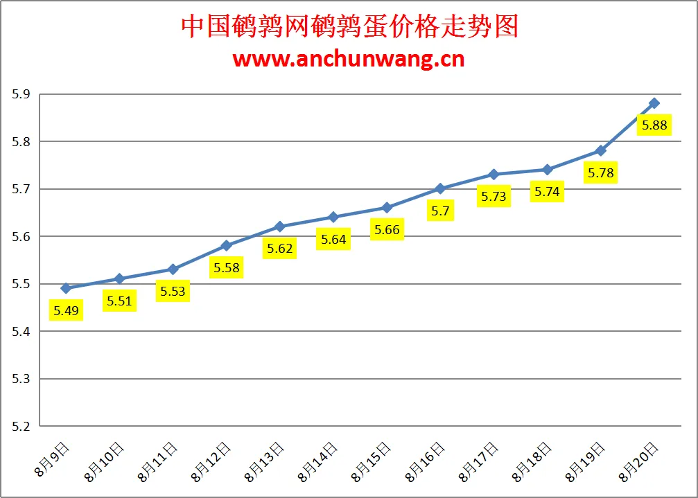 2024.8.20全国鹌鹑蛋价格：多地涨，均价5.88元