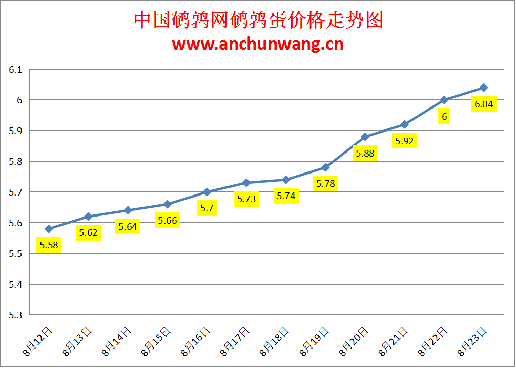 2024.8.23全国鹌鹑蛋价格：局部涨，均价6.04元