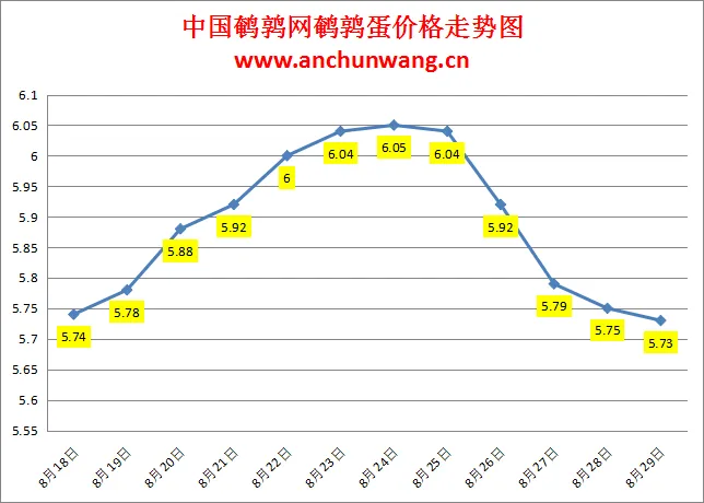 2024.8.29全国鹌鹑蛋价格：局部跌，均价5.73元