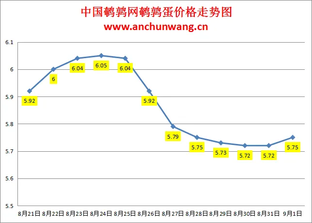 2024.9.1全国鹌鹑蛋价格：局部涨，均价5.75元