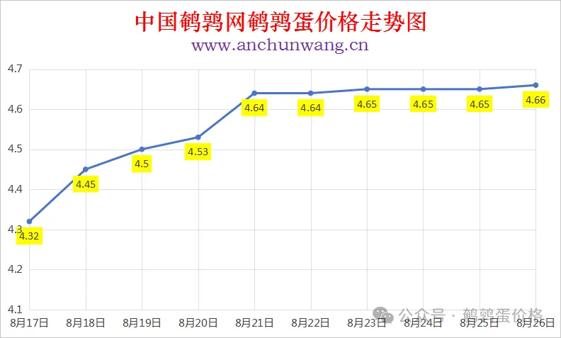 2025年8月26日中国鹌鹑网全国鹌鹑蛋价格涨跌表：均价4.66元 局部涨