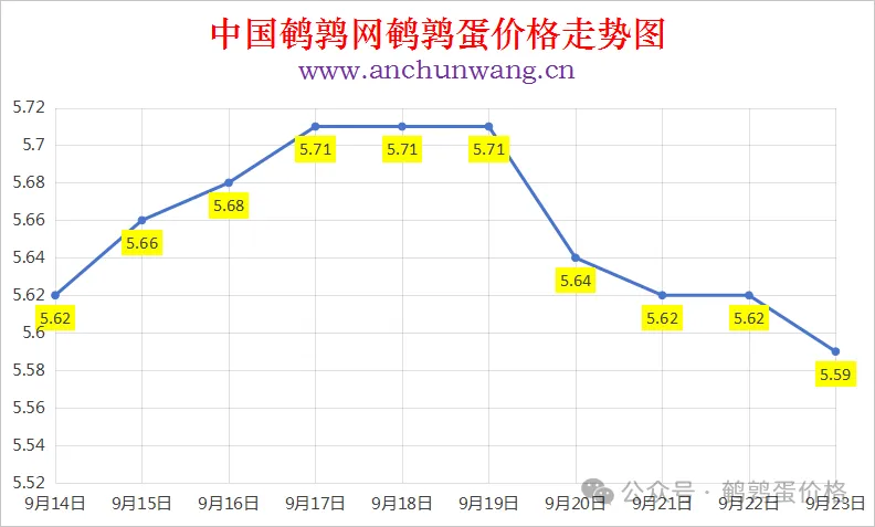 2025年9月23日中国鹌鹑网全国鹌鹑蛋价格涨跌表：均价5.59元 局部跌