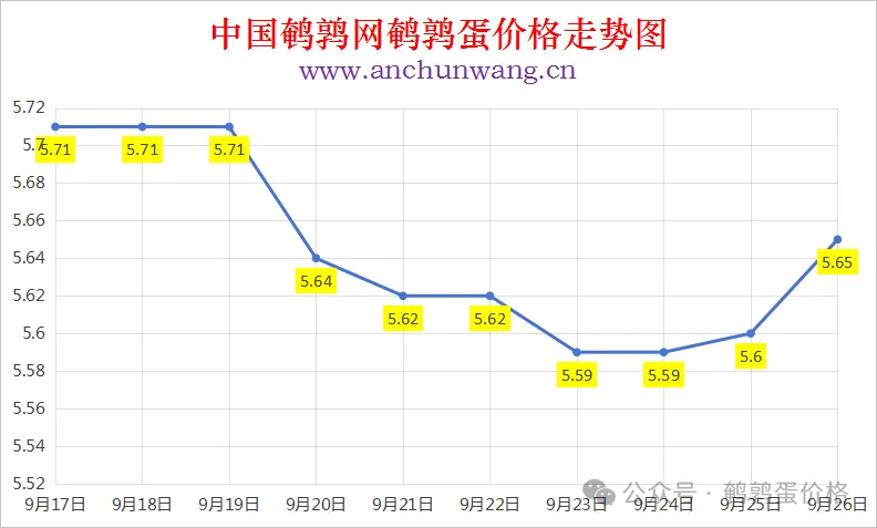 2025年9月26日中国鹌鹑网全国鹌鹑蛋价格涨跌表：均价5.65元 多地涨