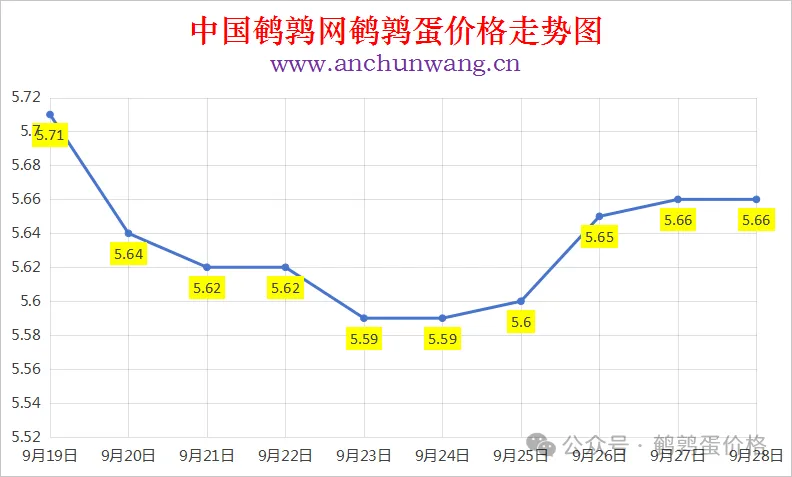 2025年9月28日中国鹌鹑网全国鹌鹑蛋价格涨跌表：均价5.66元 个别涨