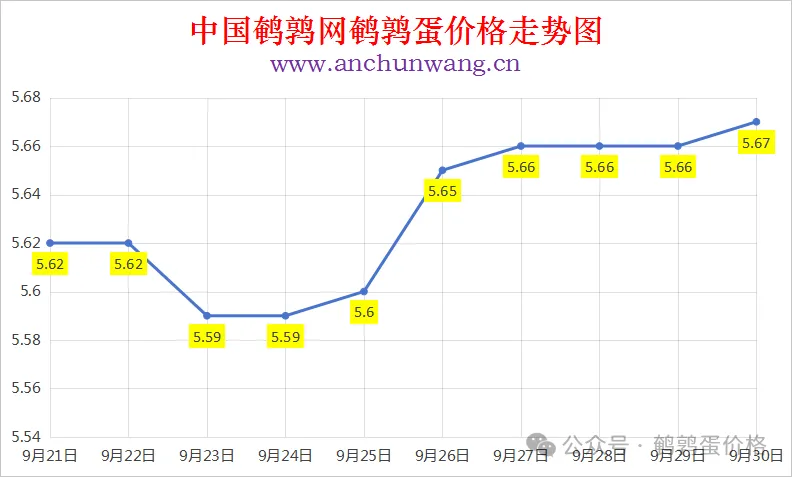 2025年9月30日中国鹌鹑网全国鹌鹑蛋价格涨跌表：均价5.67元 个别涨