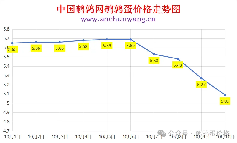 2025年10月10日中国鹌鹑网全国鹌鹑蛋价格涨跌表：均价5.09元 多地跌