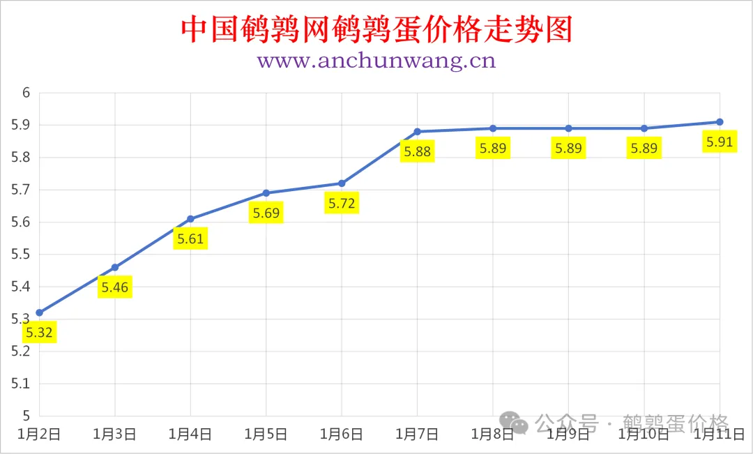 0000000.png 0000000.png